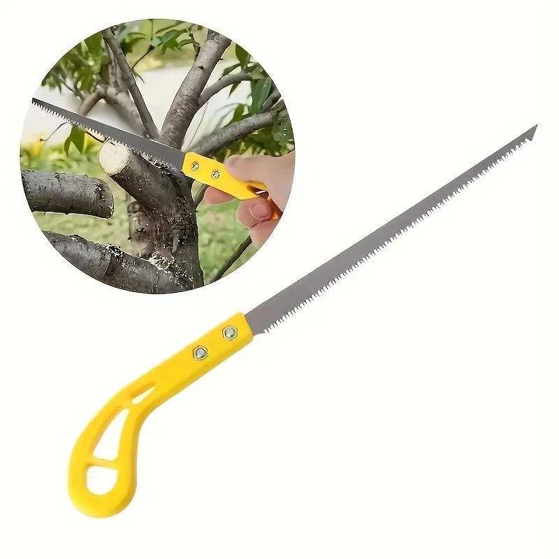 product-800-800